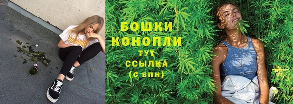 СК Каменногорск