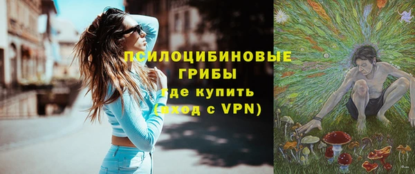 ГАЛЛЮЦИНОГЕННЫЕ ГРИБЫ Каменск-Шахтинский