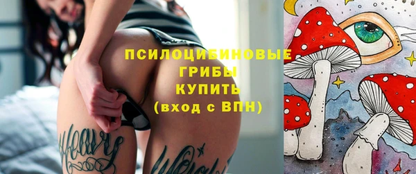 кокаин Каменка