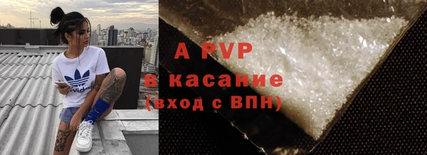 СК Каменногорск