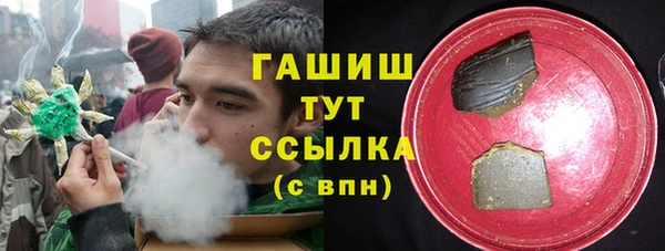 СК Каменногорск