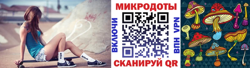 Псилоцибиновые грибы Psilocybe  Майский 